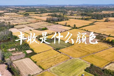 春種一粒粟，秋收萬(wàn)顆子。多彩的豐收季，只愿五谷豐登，百事興旺3.240_400.jpg