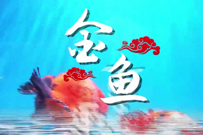 金魚歡躍，流光溢彩！_400.jpg